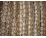 garlic braids