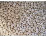 white kidney beans