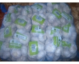 500g&20baga/ mesh bags