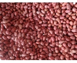 red skin peanut kernels