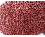 red skin peanut kernels