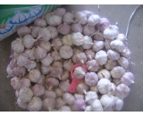 fresh garlic,2014 crop