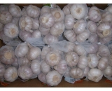 Chinese garlic,small packing