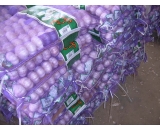 chinese garlic,small packing