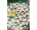 pure white garlic 2017 crop