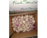 normal white garlic 2017 crop